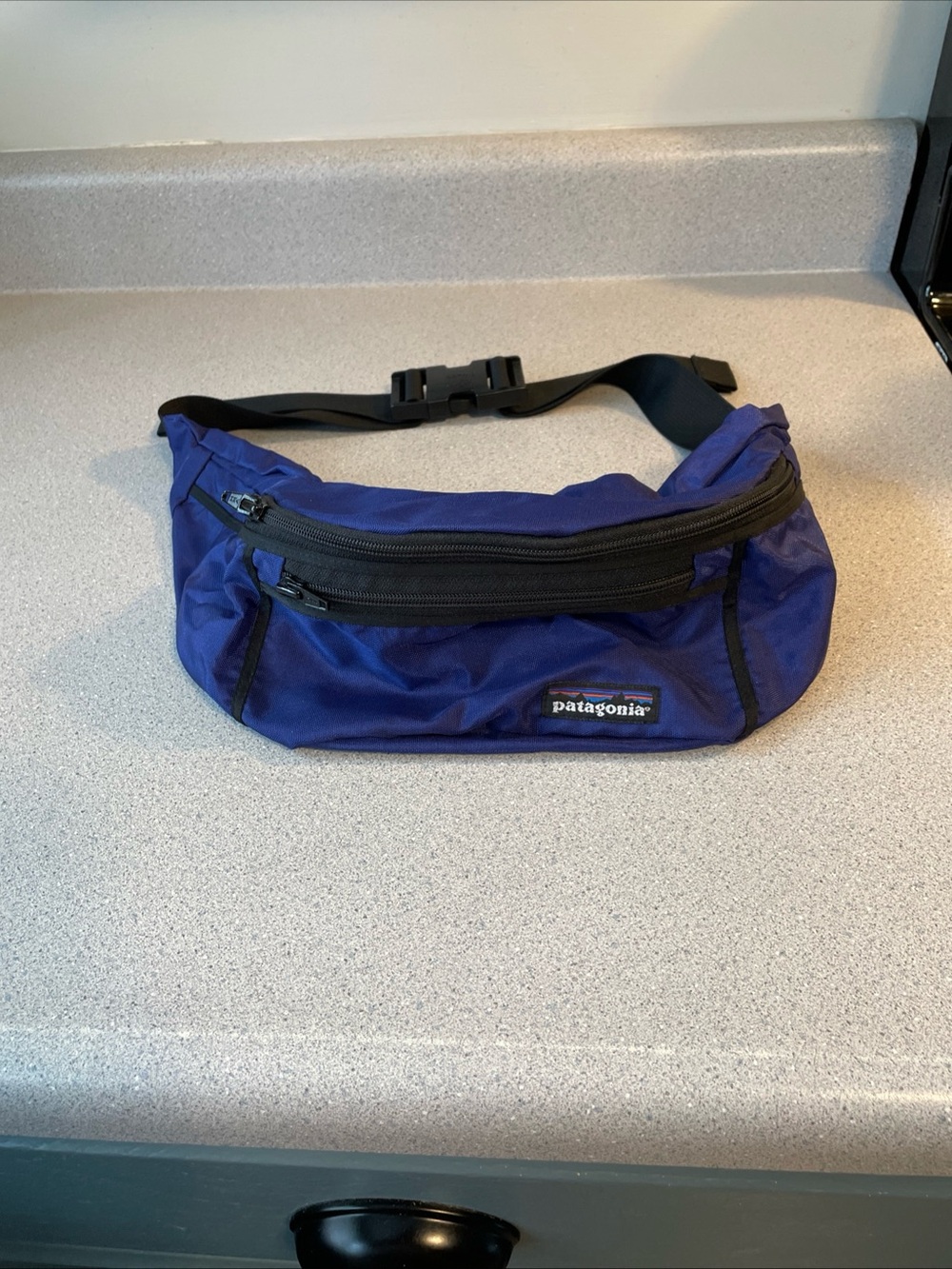 Vintage 90s Patagonia Purple Waist Pack with Black Trim